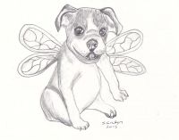 Fairy Beau